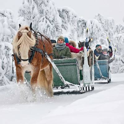 Horse sleigh rifde on cross country skiing holiday in Norway (1 of 1).jpg